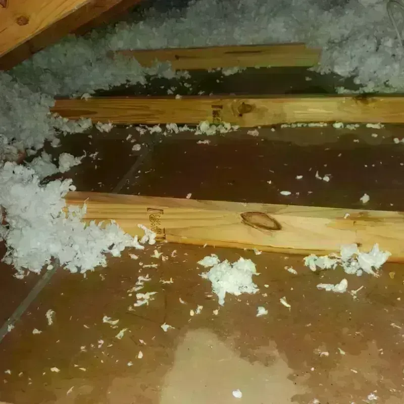 Attic Water Damage in Eden, TX