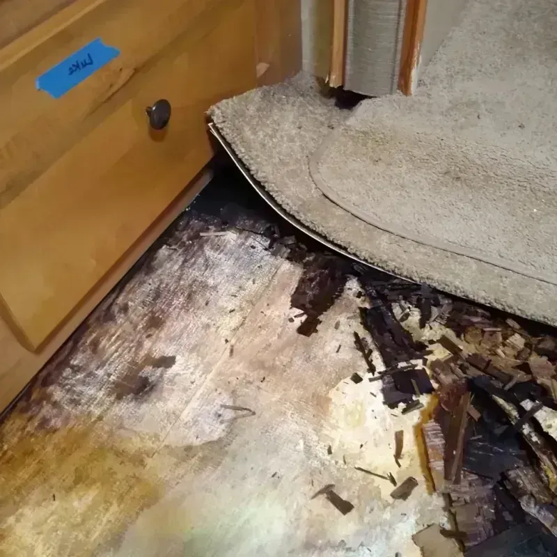 Wood Floor Water Damage in Eden, TX